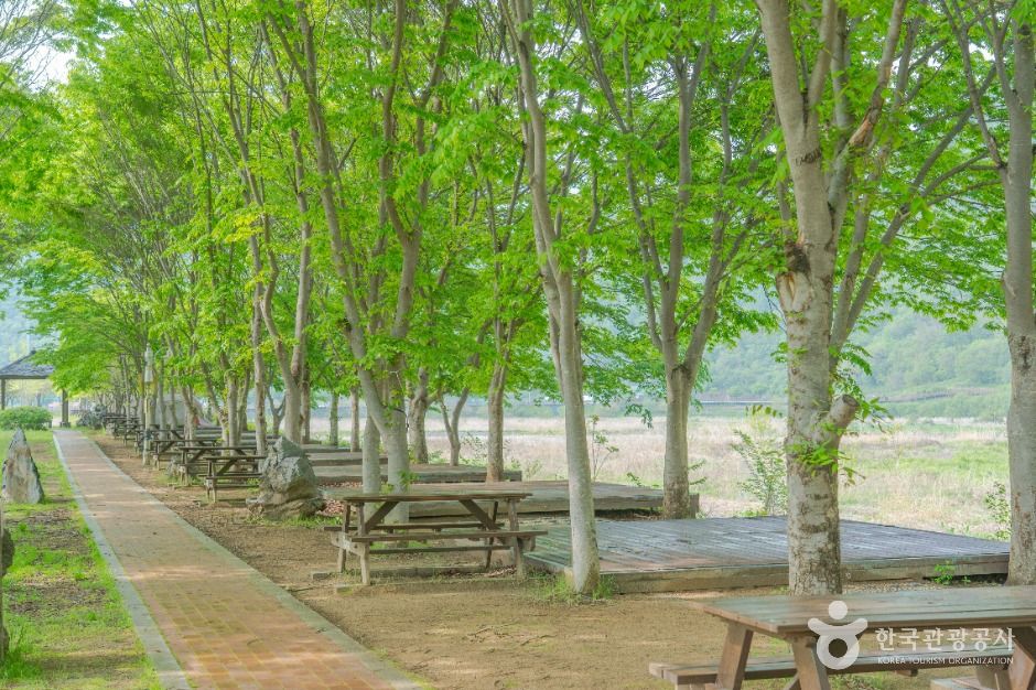 평창 바위공원 여행 추천 - 메고지고 평창 바위공원 여행 추천 - 메고지고