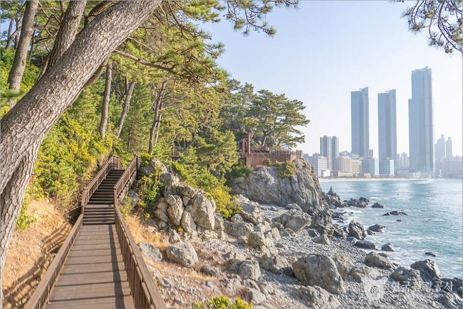 [해파랑길] 1코스 여행 추천 - 메고지고