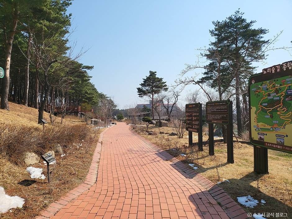 노리숲길 여행 추천 - 메고지고 노리숲길 여행 추천 - 메고지고
