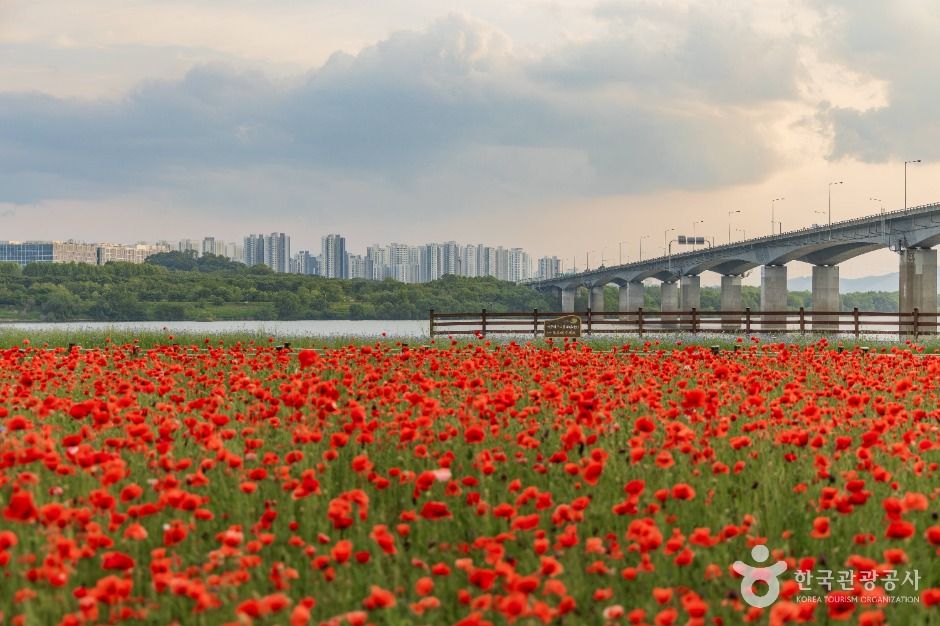 남양주한강공원(삼패지구) 여행 추천 - 메고지고