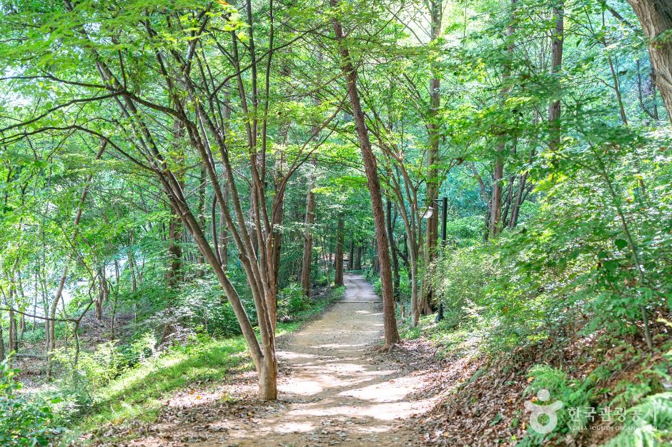 정발산공원 여행 추천 - 메고지고 정발산공원 여행 추천 - 메고지고