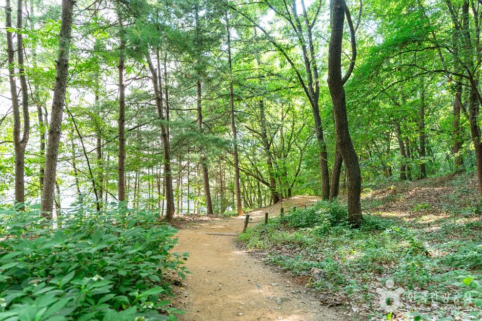 정발산공원 여행 추천 - 메고지고 정발산공원 여행 추천 - 메고지고