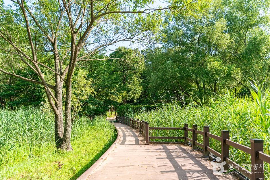 안곡습지공원 여행 추천 - 메고지고 안곡습지공원 여행 추천 - 메고지고