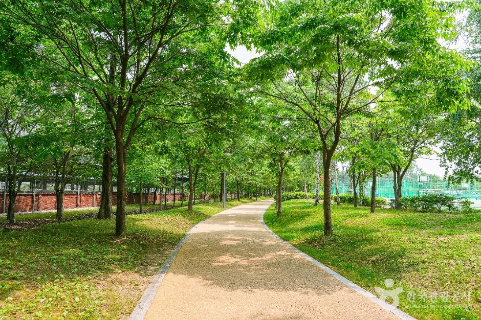 서호꽃뫼공원 여행 추천 - 메고지고 서호꽃뫼공원 여행 추천 - 메고지고