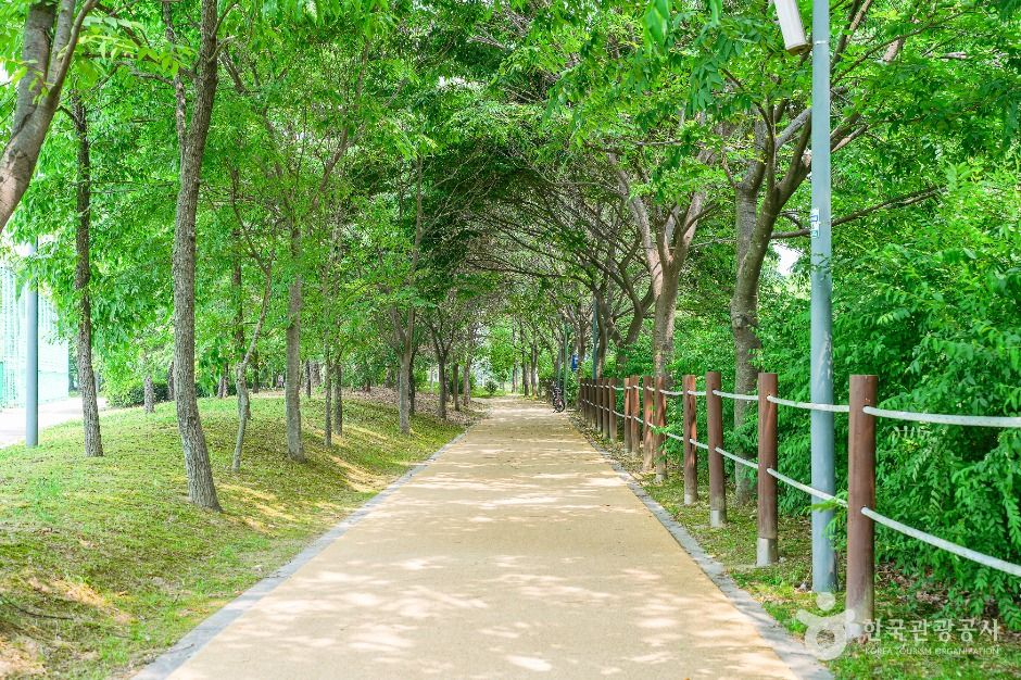 서호꽃뫼공원 여행 추천 - 메고지고 서호꽃뫼공원 여행 추천 - 메고지고