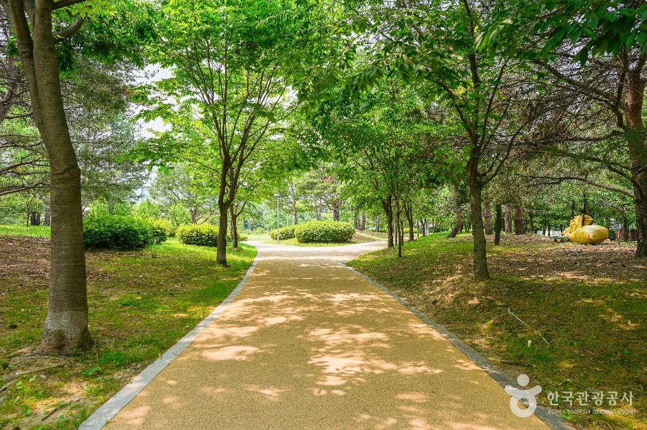 서호꽃뫼공원 여행 추천 - 메고지고 서호꽃뫼공원 여행 추천 - 메고지고