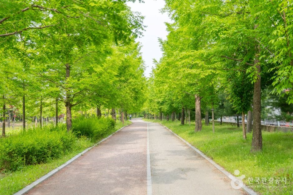 중보들공원 여행 추천 - 메고지고 중보들공원 여행 추천 - 메고지고