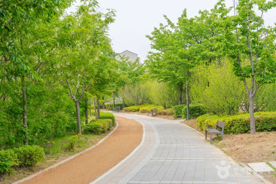 마중공원 여행 추천 - 메고지고 마중공원 여행 추천 - 메고지고