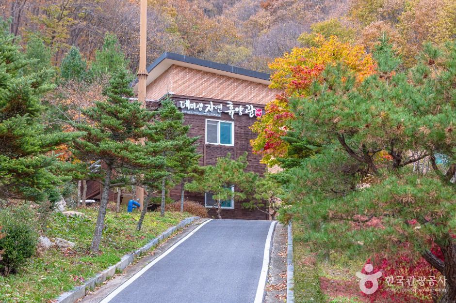 데미샘자연휴양림 여행 추천 - 메고지고 데미샘자연휴양림 여행 추천 - 메고지고