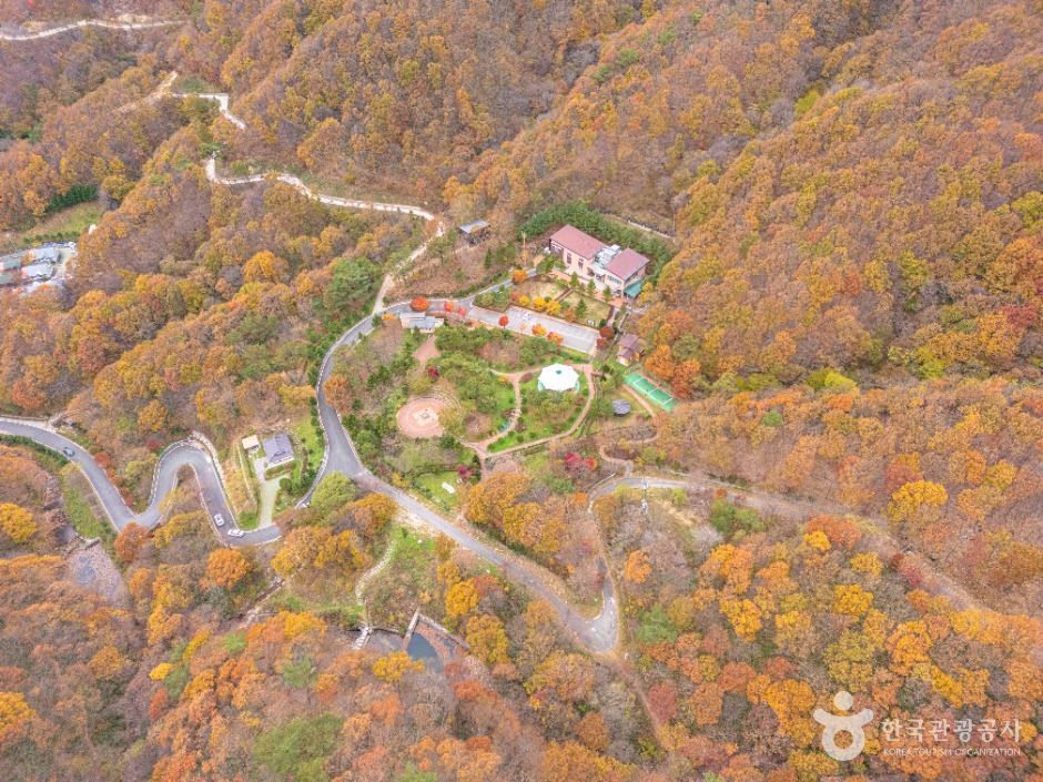 데미샘자연휴양림 여행 추천 - 메고지고 데미샘자연휴양림 여행 추천 - 메고지고