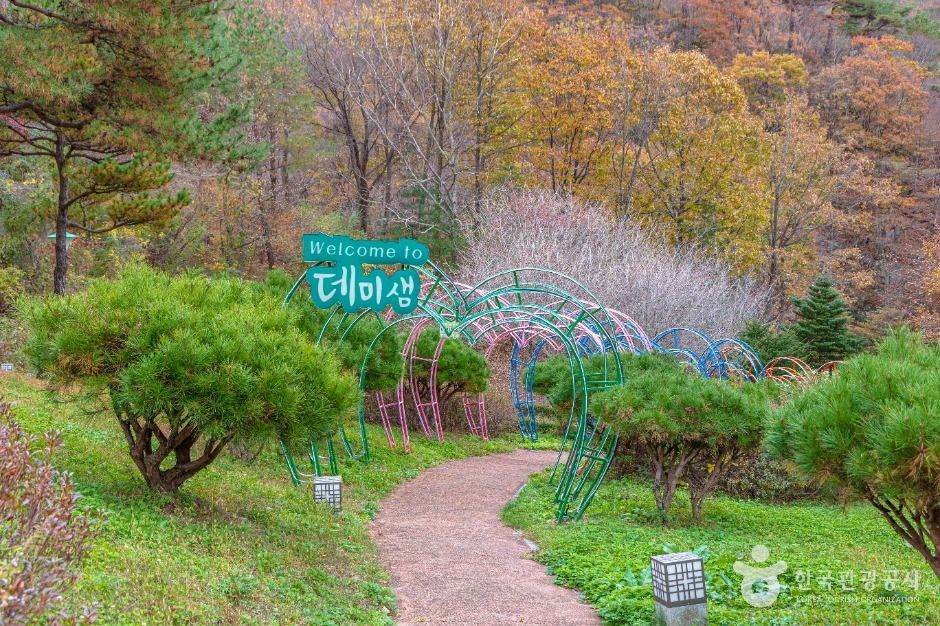 데미샘자연휴양림 여행 추천 - 메고지고 데미샘자연휴양림 여행 추천 - 메고지고