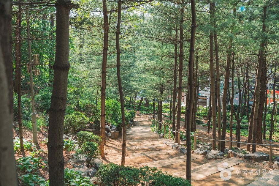 학동근린공원 여행 추천 - 메고지고 학동근린공원 여행 추천 - 메고지고