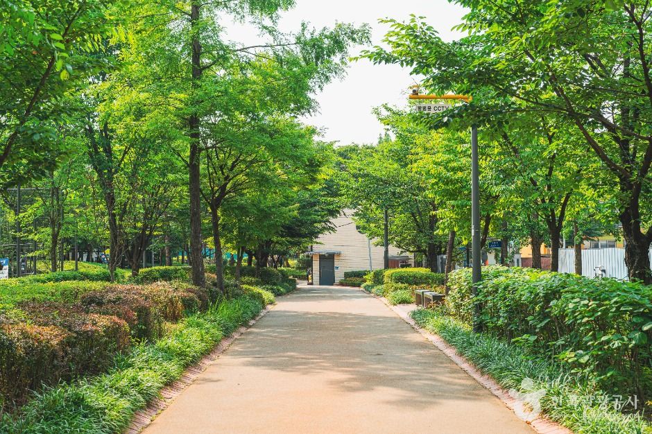 황금내근린공원 여행 추천 - 메고지고 황금내근린공원 여행 추천 - 메고지고