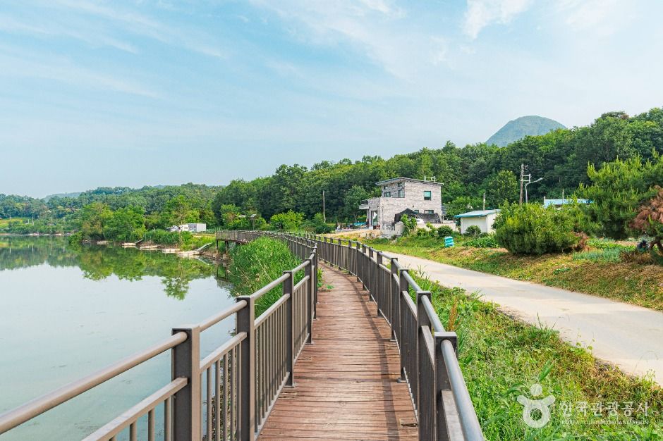 향리저수지 여행 추천 - 메고지고 향리저수지 여행 추천 - 메고지고