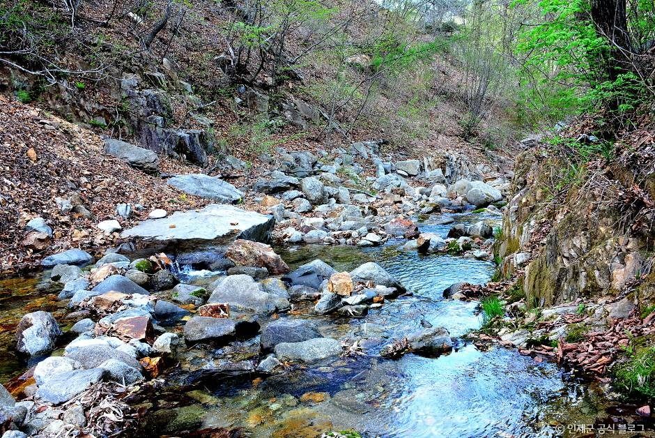 동아실계곡 여행 추천 - 메고지고 동아실계곡 여행 추천 - 메고지고
