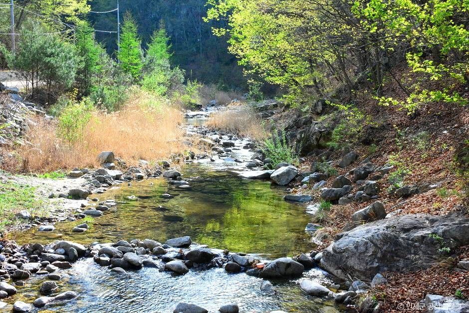 동아실계곡 여행 추천 - 메고지고 동아실계곡 여행 추천 - 메고지고