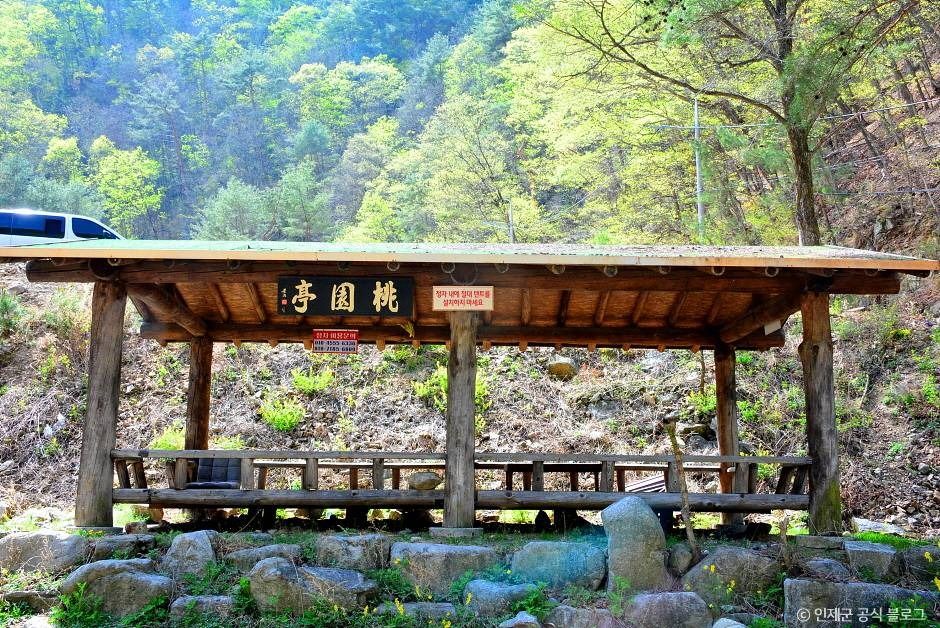 동아실계곡 여행 추천 - 메고지고 동아실계곡 여행 추천 - 메고지고