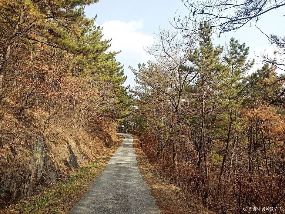 종남산(밀양) 여행 추천 - 메고지고