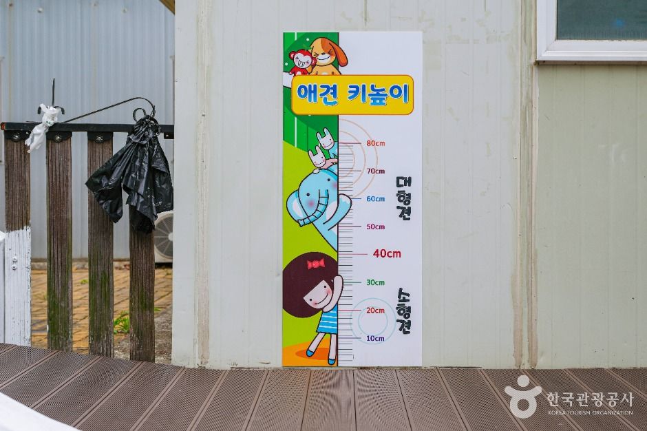 울산애견공원 여행 추천 - 메고지고 울산애견공원 여행 추천 - 메고지고