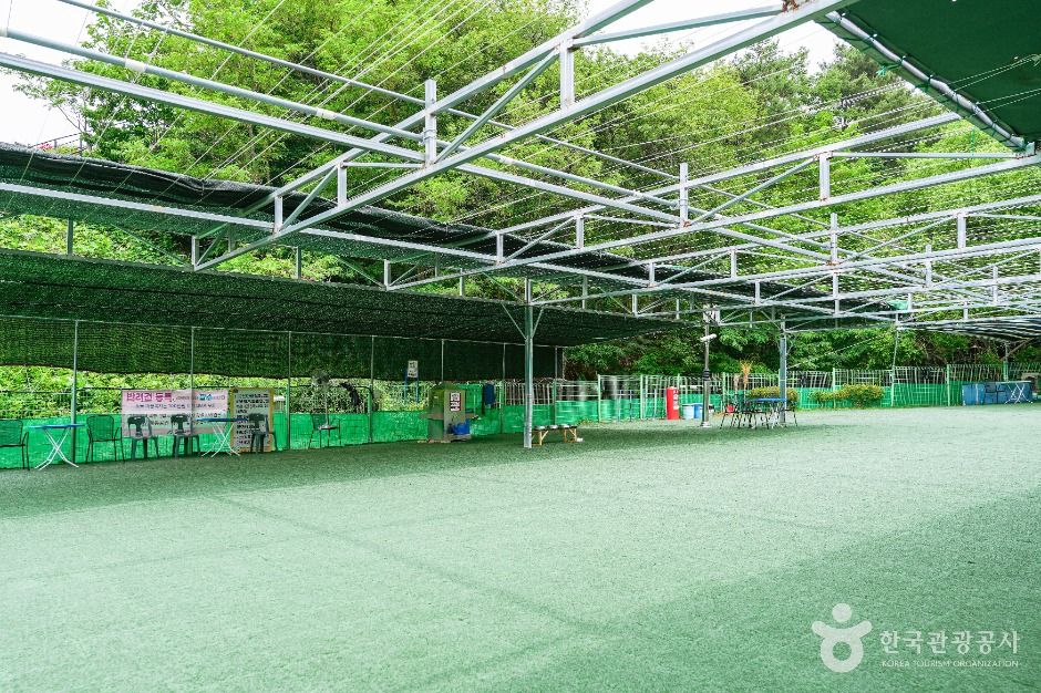 울산애견공원 여행 추천 - 메고지고 울산애견공원 여행 추천 - 메고지고