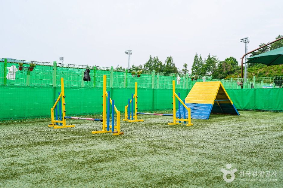 울산애견공원 여행 추천 - 메고지고 울산애견공원 여행 추천 - 메고지고