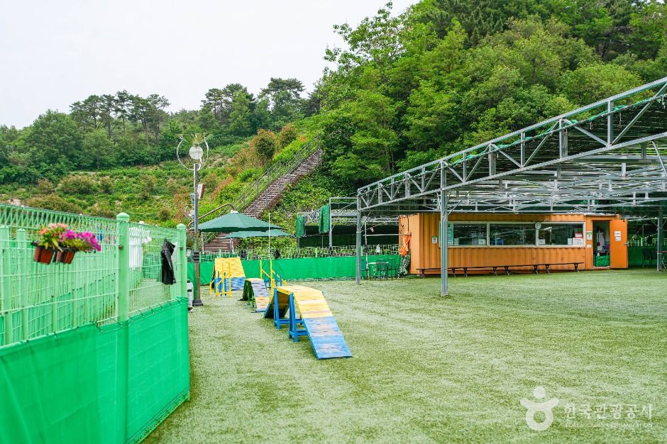 울산애견공원 여행 추천 - 메고지고 울산애견공원 여행 추천 - 메고지고