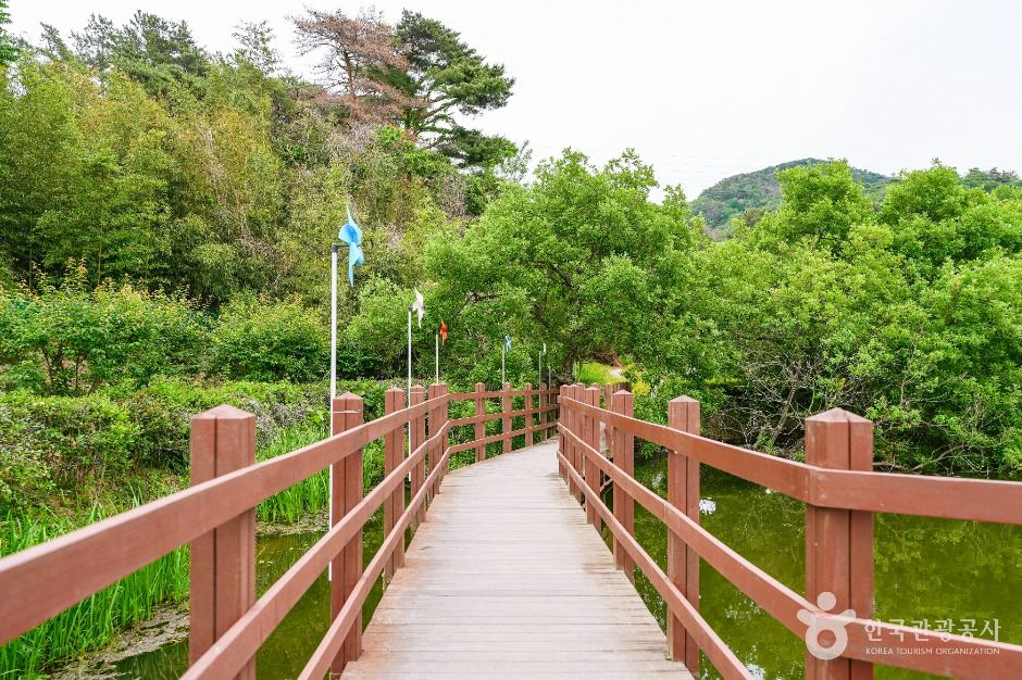 화동못수변공원 여행 추천 - 메고지고 화동못수변공원 여행 추천 - 메고지고