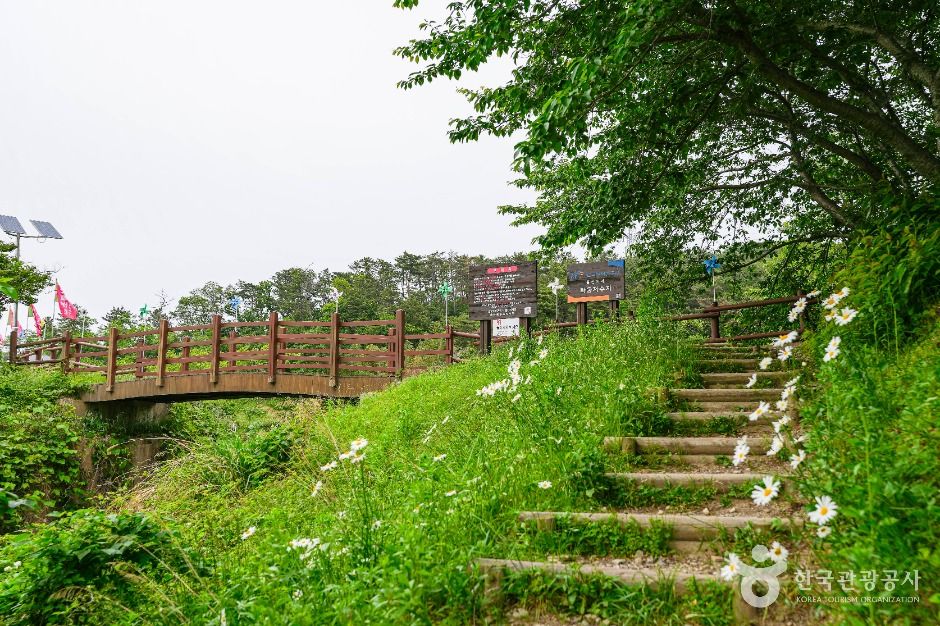 화동못수변공원 여행 추천 - 메고지고 화동못수변공원 여행 추천 - 메고지고