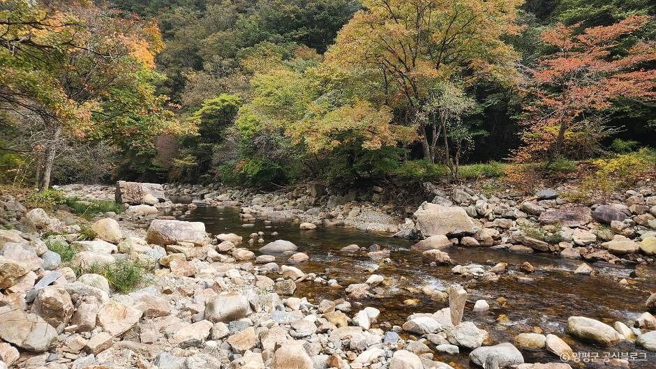 소리산 여행 추천 - 메고지고 소리산 여행 추천 - 메고지고