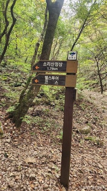 소리산 여행 추천 - 메고지고 소리산 여행 추천 - 메고지고