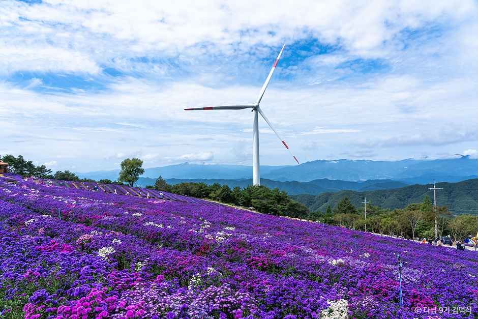 거창 별바람언덕 여행 추천 - 메고지고 거창 별바람언덕 여행 추천 - 메고지고