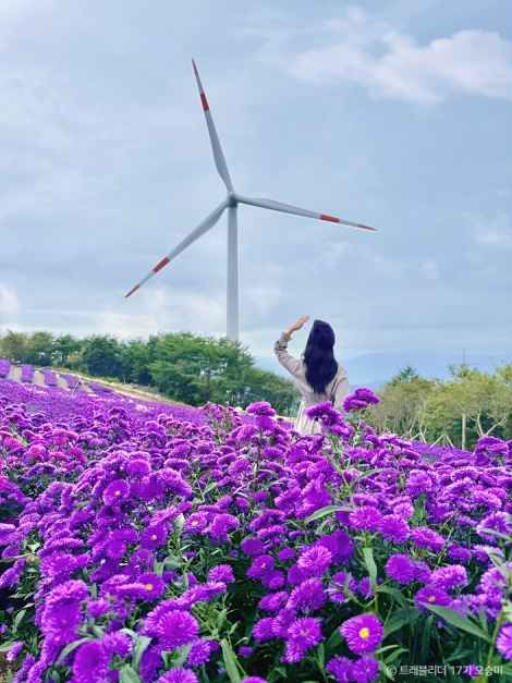 거창 별바람언덕 여행 추천 - 메고지고 거창 별바람언덕 여행 추천 - 메고지고