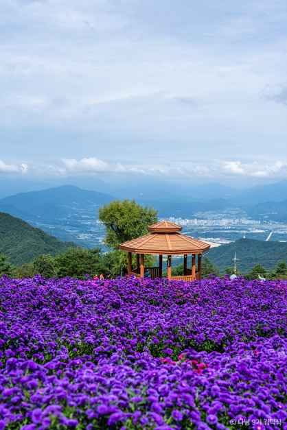 거창 별바람언덕 여행 추천 - 메고지고 거창 별바람언덕 여행 추천 - 메고지고