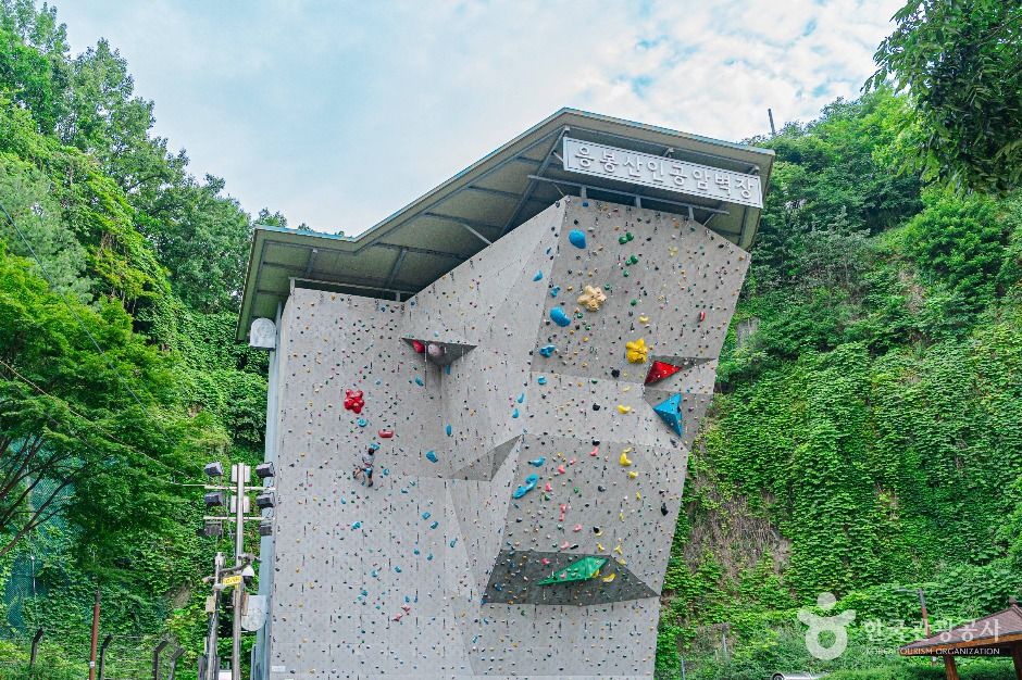 응봉산 암벽등반공원 여행 추천 - 메고지고 응봉산 암벽등반공원 여행 추천 - 메고지고