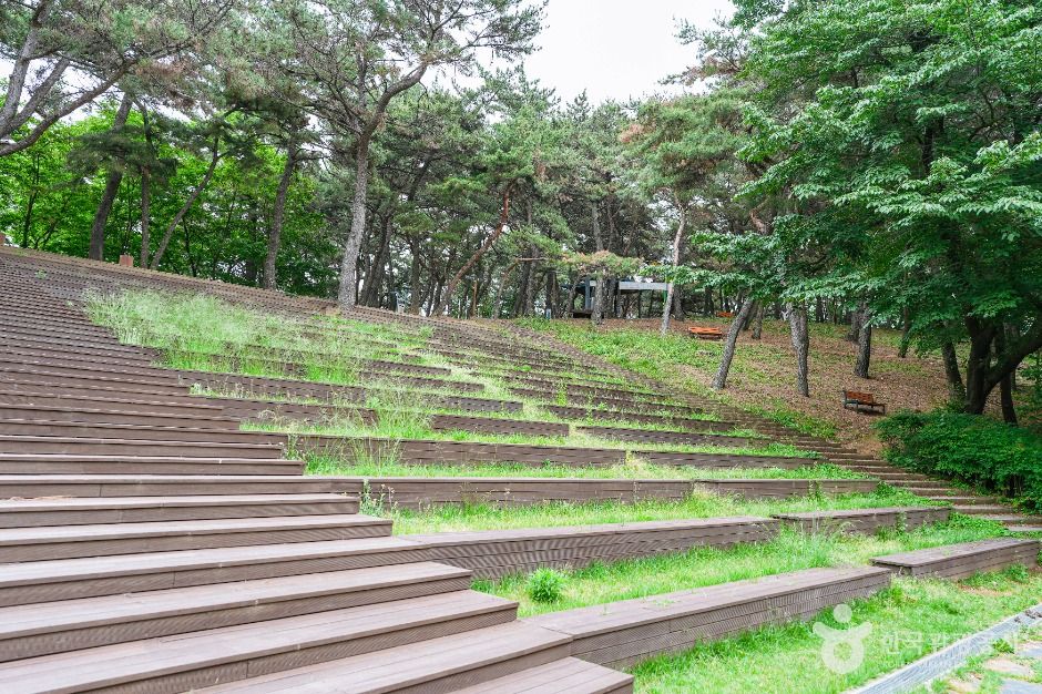 장무공원 여행 추천 - 메고지고 장무공원 여행 추천 - 메고지고