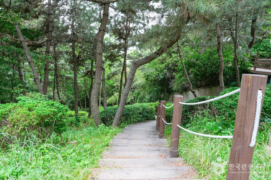 장무공원 여행 추천 - 메고지고 장무공원 여행 추천 - 메고지고