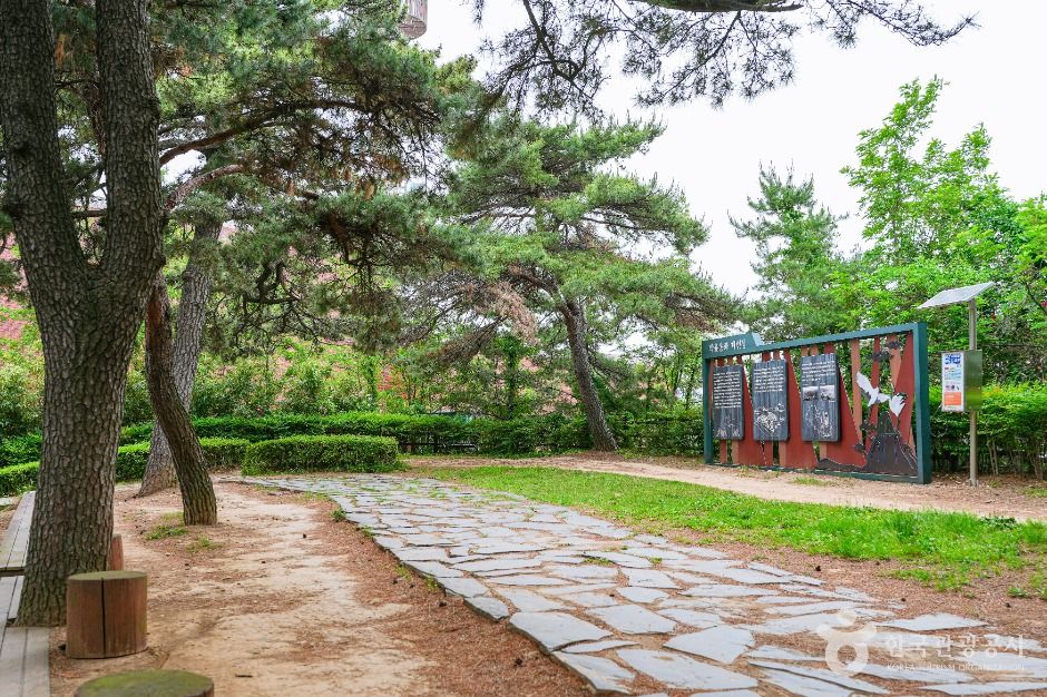 장무공원 여행 추천 - 메고지고 장무공원 여행 추천 - 메고지고