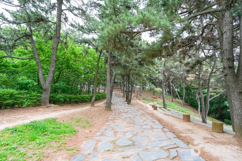 장무공원 여행 추천 - 메고지고 장무공원 여행 추천 - 메고지고
