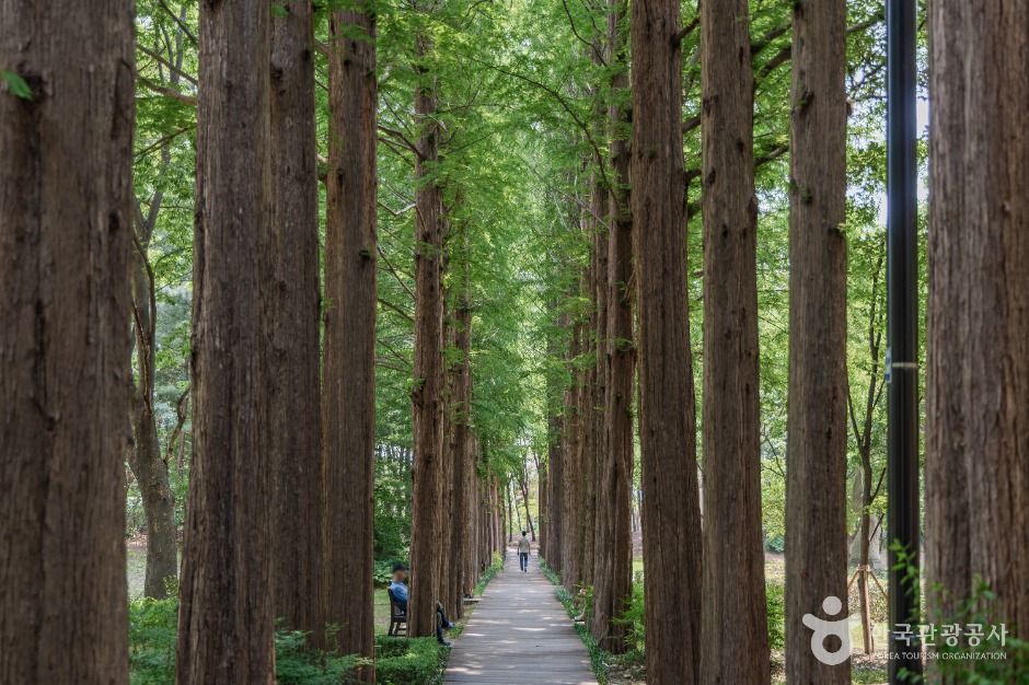 서초문화예술공원 여행 추천 - 메고지고 서초문화예술공원 여행 추천 - 메고지고
