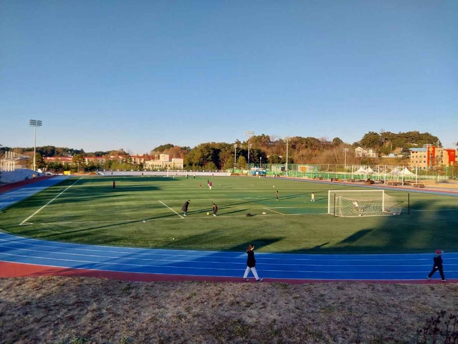 강릉시강남축구공원 여행 추천 - 메고지고