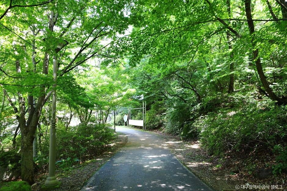 비슬산자연휴양림 여행 추천 - 메고지고 비슬산자연휴양림 여행 추천 - 메고지고