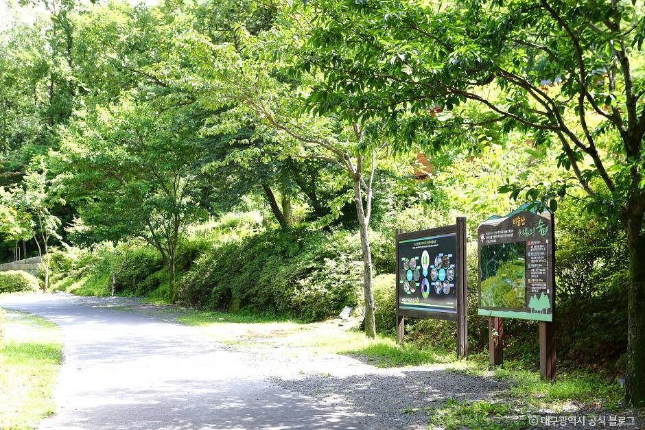 비슬산자연휴양림 여행 추천 - 메고지고 비슬산자연휴양림 여행 추천 - 메고지고