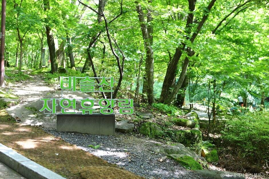 비슬산자연휴양림 여행 추천 - 메고지고 비슬산자연휴양림 여행 추천 - 메고지고