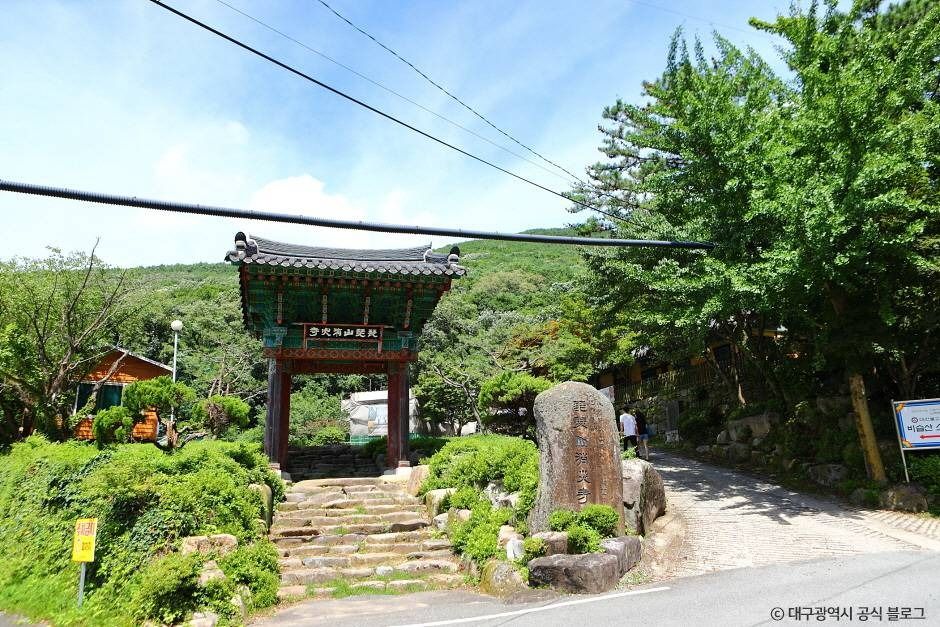 비슬산자연휴양림 여행 추천 - 메고지고 비슬산자연휴양림 여행 추천 - 메고지고