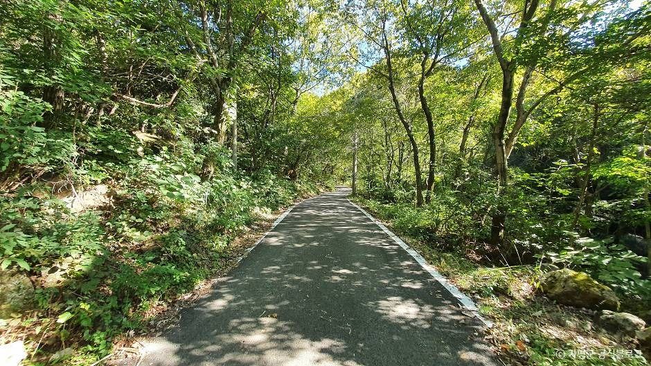 화야산 여행 추천 - 메고지고 화야산 여행 추천 - 메고지고