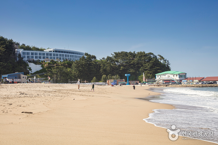 낙산해수욕장 여행 추천 - 메고지고 낙산해수욕장 여행 추천 - 메고지고
