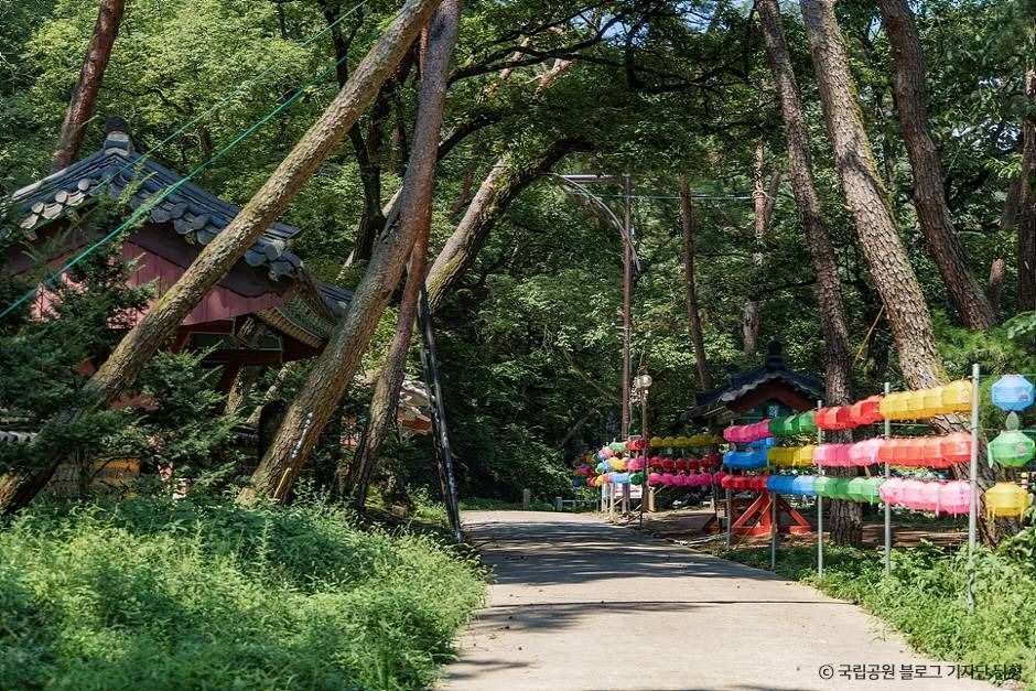 팔공산국립공원(은해사지구) 여행 추천 - 메고지고 팔공산국립공원(은해사지구) 여행 추천 - 메고지고