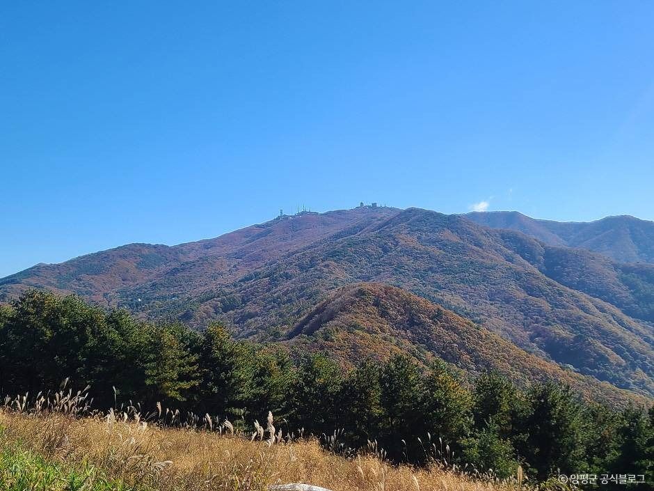 대부산 여행 추천 - 메고지고 대부산 여행 추천 - 메고지고
