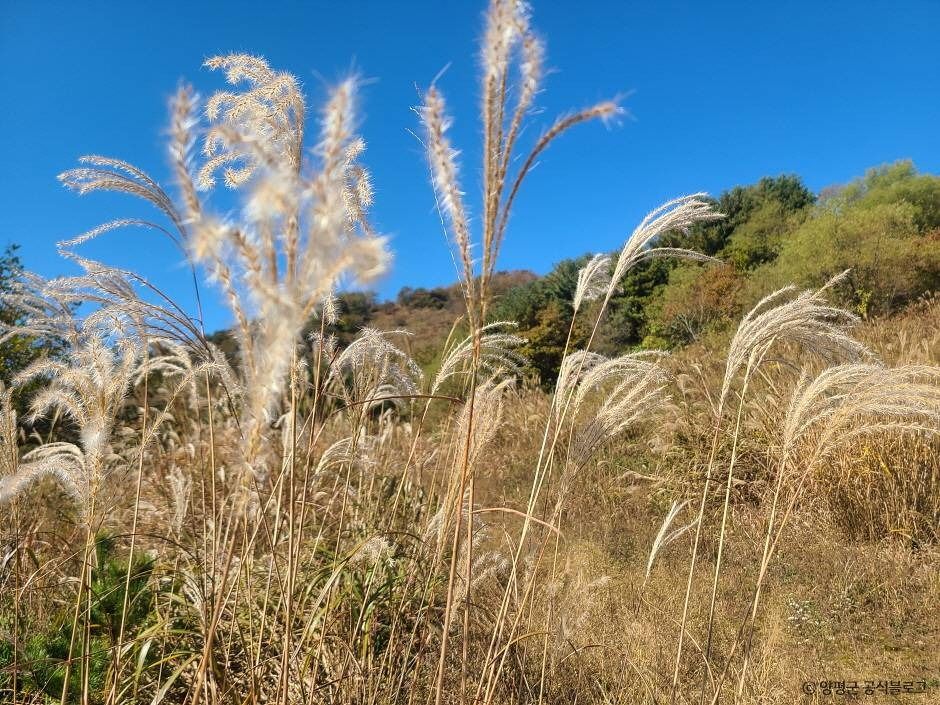 대부산 여행 추천 - 메고지고 대부산 여행 추천 - 메고지고