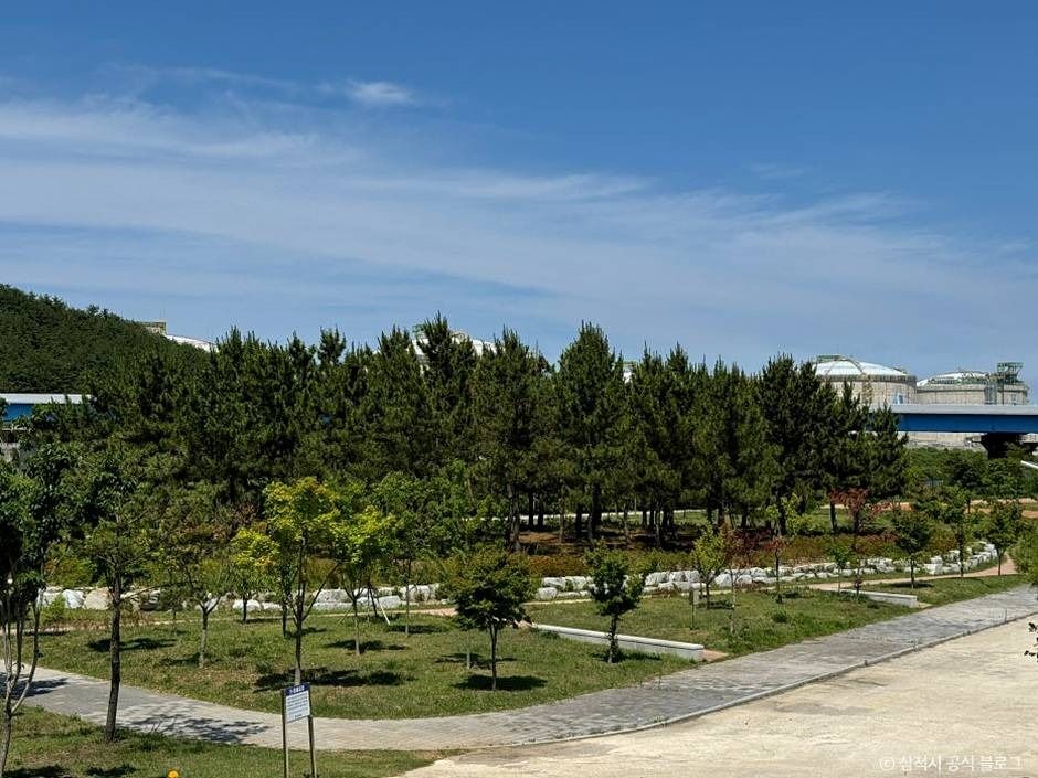 월천유원지 여행 추천 - 메고지고 월천유원지 여행 추천 - 메고지고